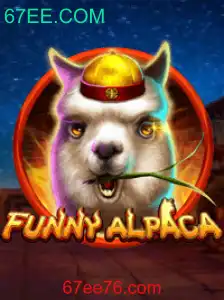 Descubra o Mundo Divertido de FunnyAlpaca